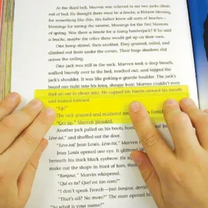 Eye Lighter Reading Guide Strip